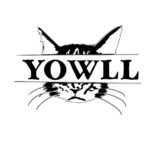 大阪発、グランジバンド・YOWLLが初の自主企画を開催！